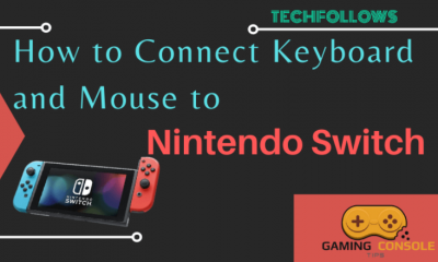 How to connect Keyboard and mouse to Nintendo Switch