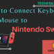 How to connect Keyboard and mouse to Nintendo Switch