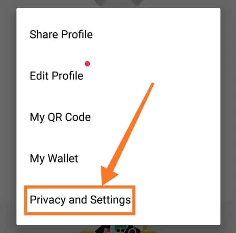 Privacy and settings option