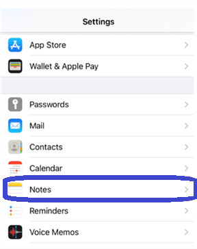 Notes iPhone Settings