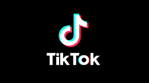 Reset TikTok Password 