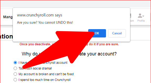 click ok to confirm on your account deletion