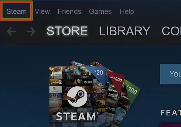 Select Steam from the menu