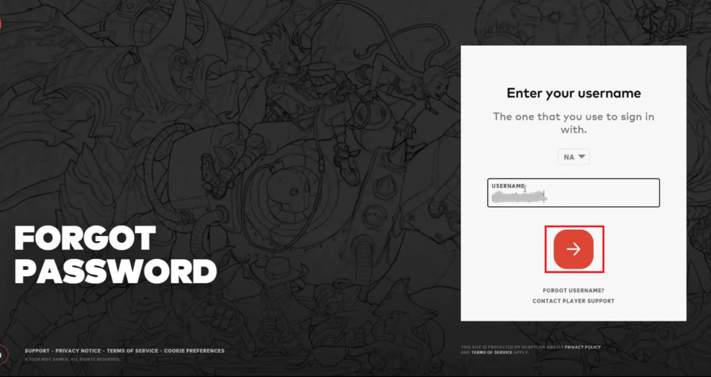 In the Riot Games recovery page, enter your user name to change Valorant password