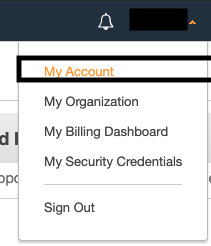 To delete AWS Account, choose My Account
