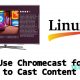 Chromecast for Linux