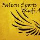Falcon Sports Addon