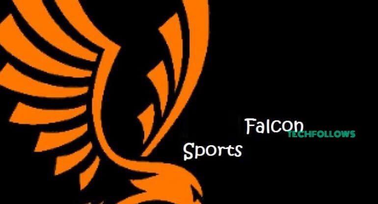 Falcon Sports Addon