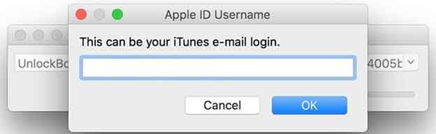 Enter your Apple ID
