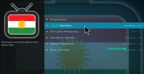 select Halow Live TV repo on Kodi