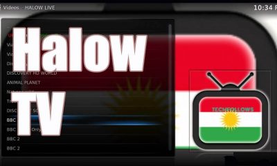 Halow Live TV Kodi Addon
