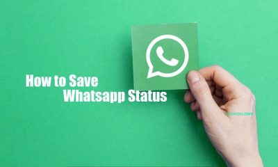 How to Save Whatsapp Status