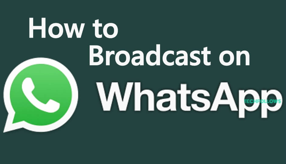 How to Broadcast on Whatsapp