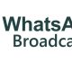 How to Broadcast on Whatsapp