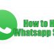 How to Hide Whatsapp Status
