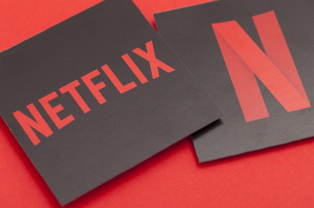 Netflix on Firestick