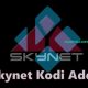 Skynet Kodi Addon