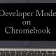 Developer Mode on Chromebook