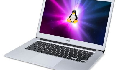 Linux on Chromebook