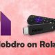 How to Install Mobdro on Roku?