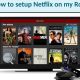 Netflix on Roku