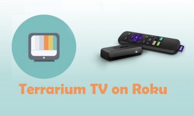 Terrarium TV on Roku