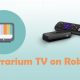 Terrarium TV on Roku