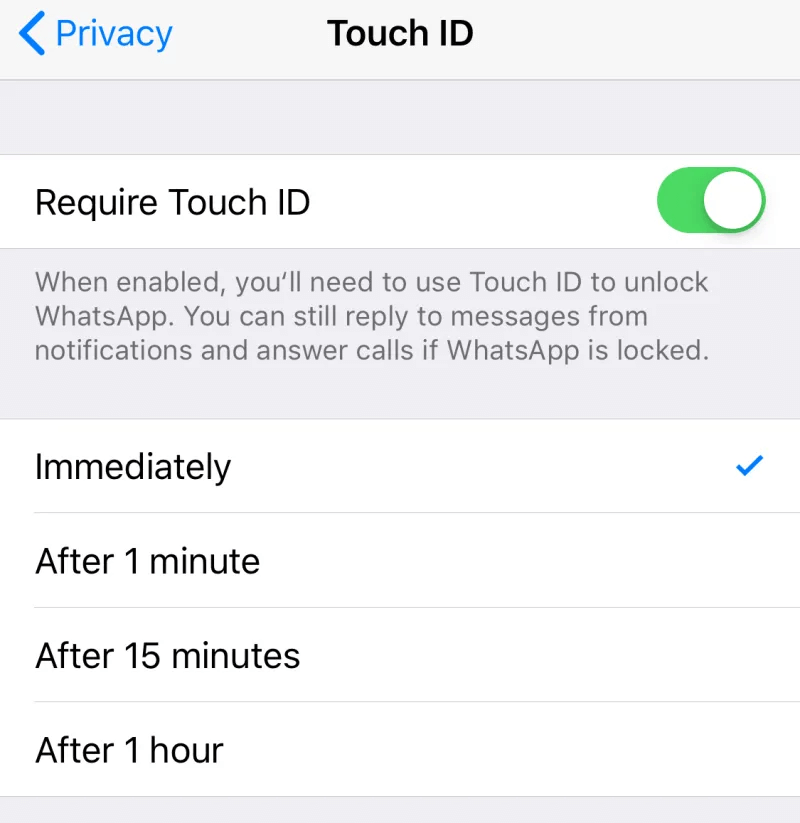 How to Lock Whatsapp in iPhone  iPad Using Face ID or Touch ID - 93