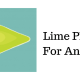 How to Install Lime Player for Firestick and Windows - 95