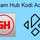 Stream Hub Kodi Addon