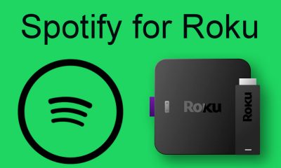 Spotify for Roku