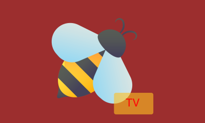 BeeTV On FireStick