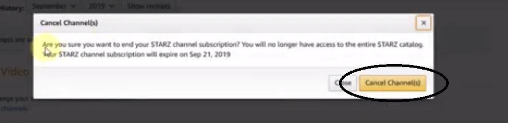How to Cancel Starz Subscription  2021  - 27
