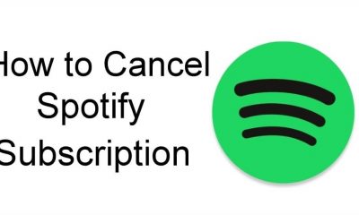 Cancel Spotify Subscription