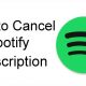 Cancel Spotify Subscription