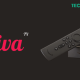 Viva TV APK on Firestick