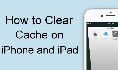 Clear Cache on iPhone