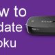 Update Roku