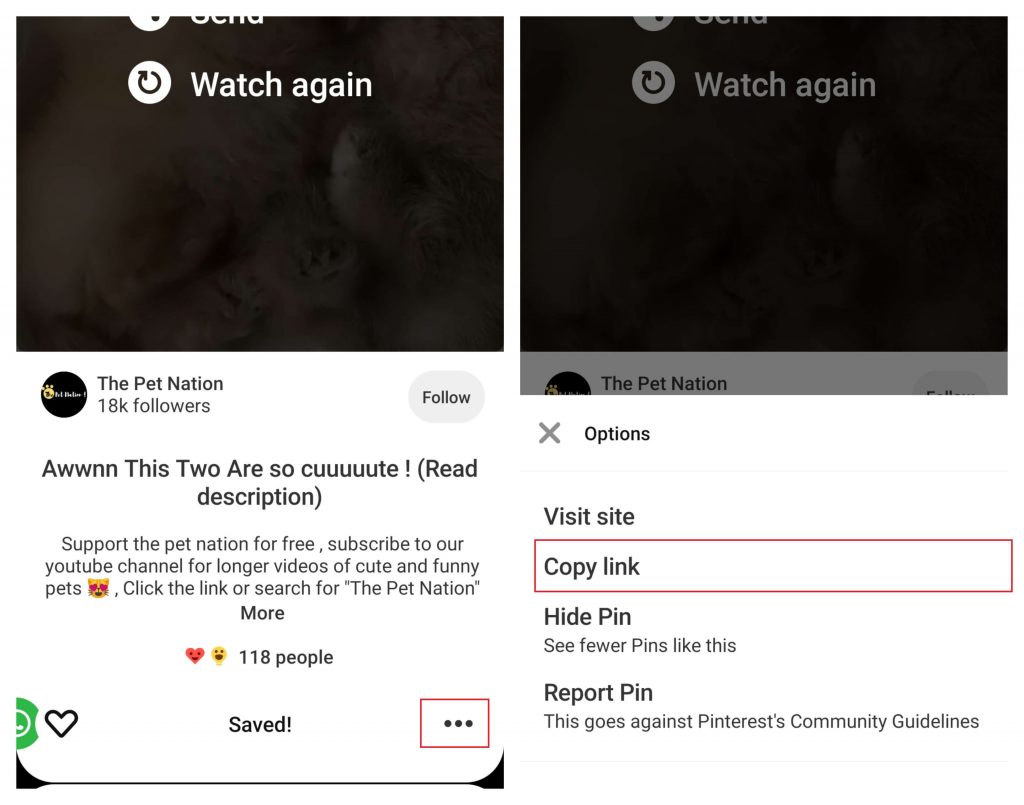 How to Download Pinterest Videos  PC and Mobile  - 58