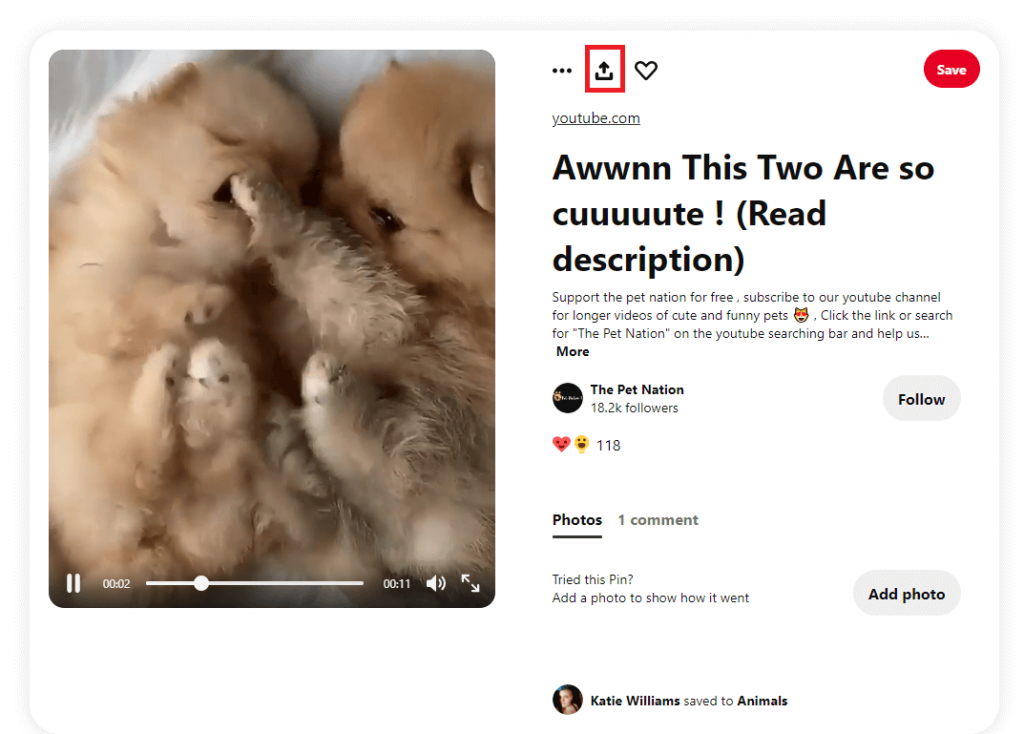 How to Download Pinterest Videos  PC and Mobile  - 25