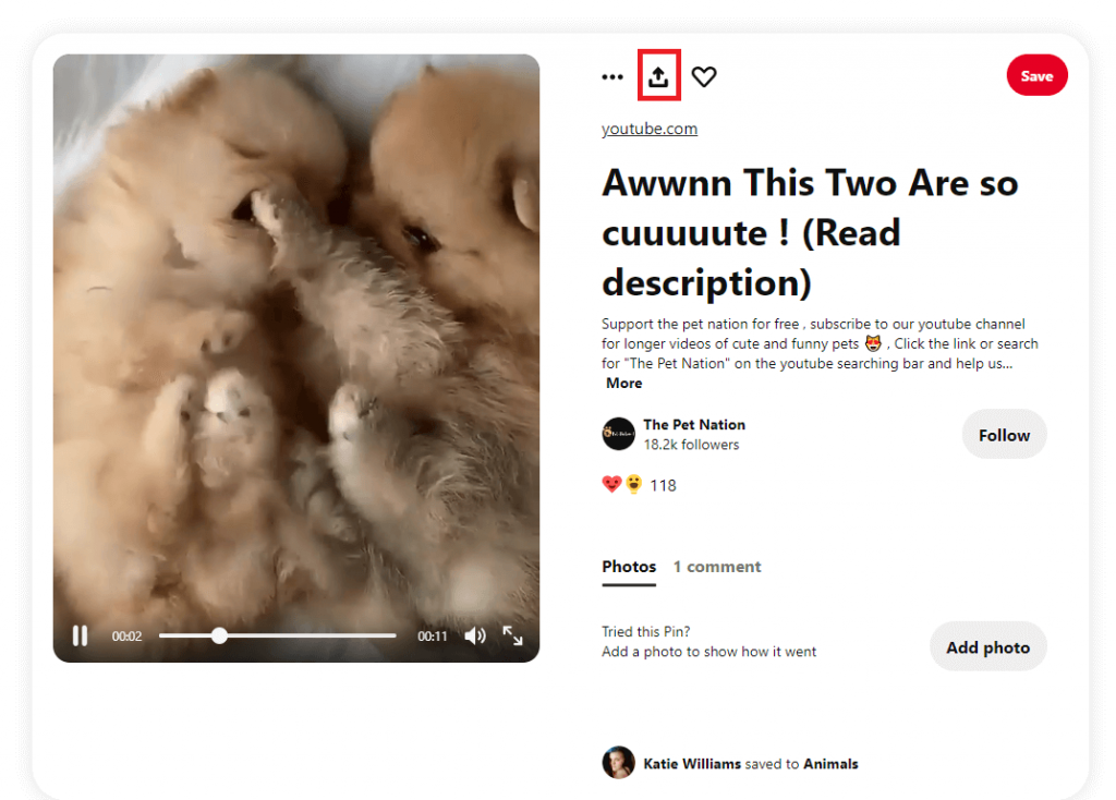 Download Pinterest Videos on PC