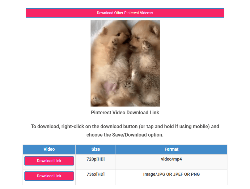 How to Download Pinterest Videos  PC and Mobile  - 55