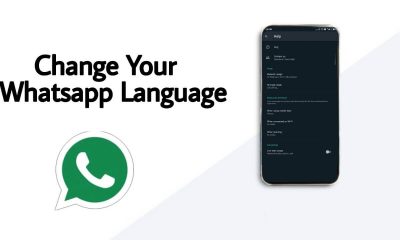 Change Language on WhatsApp