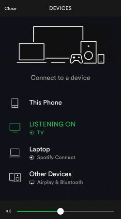 Spotify on Firestick