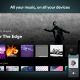 Spotify on Firestick