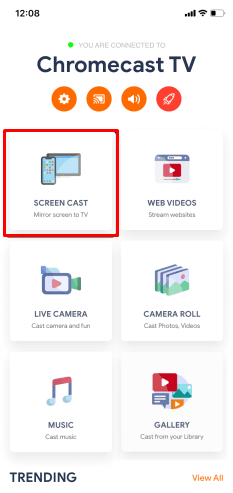 Select Screen Cast in streamer for Chromecast
