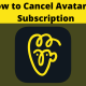 Cancel Avatarify Subscription