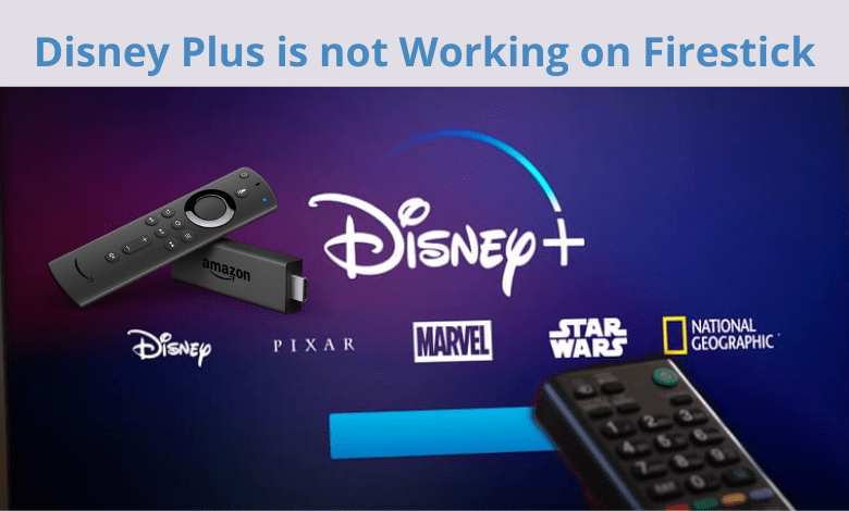 Disney Plus is not Working on Firestick