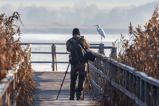 Important Lessons Every Budding Photographer Should Know by Heart - 80