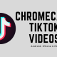 Chromecast Tiktok Videos